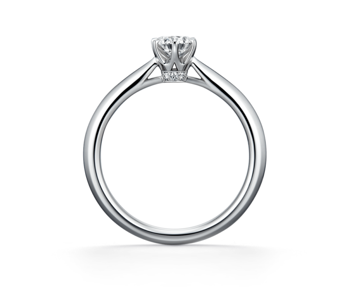 1581670077HERCULES_IPE_s_PtPt_WD_1196